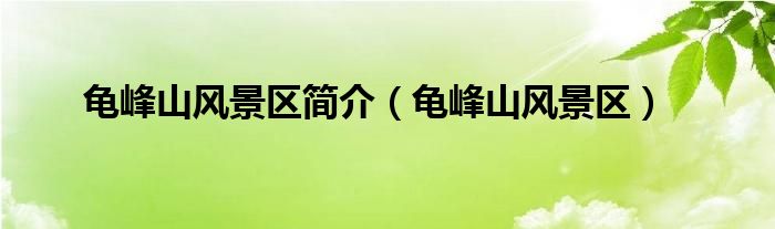 龟峰山风景区简介（龟峰山风景区）