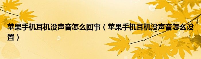 苹果手机耳机没声音怎么回事（苹果手机耳机没声音怎么设置）