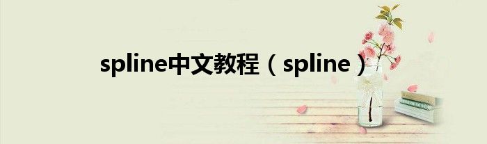 spline中文教程（spline）