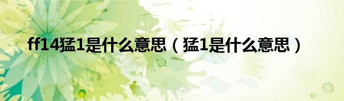 ff14猛1是什么意思（猛1是什么意思）