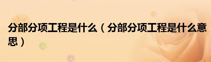 分部分项工程是什么（分部分项工程是什么意思）