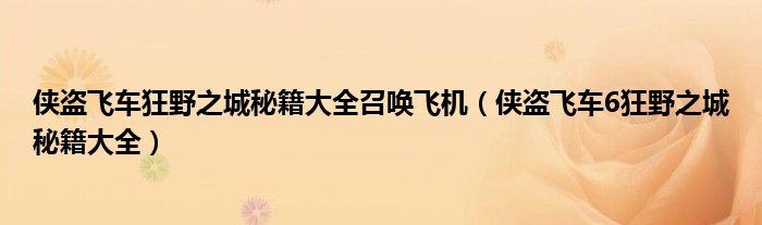 侠盗飞车狂野之城秘籍大全召唤飞机（侠盗飞车6狂野之城秘籍大全）