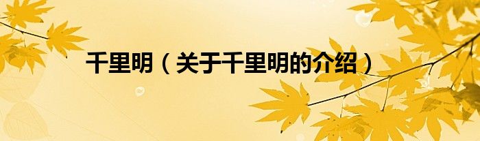 千里明（关于千里明的介绍）