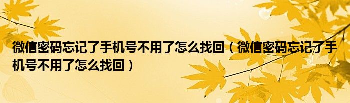 微信密码忘记了手机号不用了怎么找回（微信密码忘记了手机号不用了怎么找回）