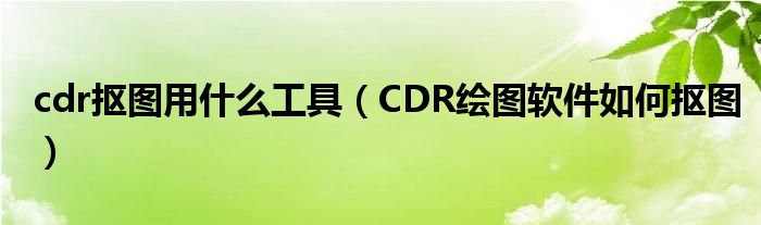 cdr抠图用什么工具（CDR绘图软件如何抠图）