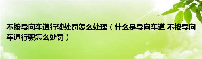 不按导向车道行驶处罚怎么处理（什么是导向车道 不按导向车道行驶怎么处罚）