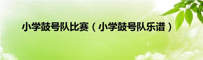 小学鼓号队比赛（小学鼓号队乐谱）