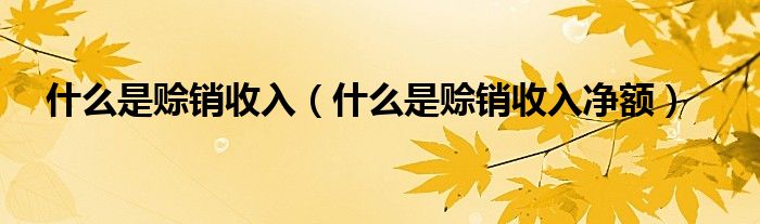 什么是赊销收入（什么是赊销收入净额）