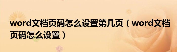 word文档页码怎么设置第几页（word文档页码怎么设置）