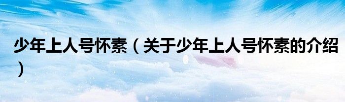少年上人号怀素（关于少年上人号怀素的介绍）