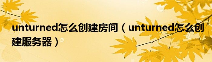 unturned怎么创建房间（unturned怎么创建服务器）