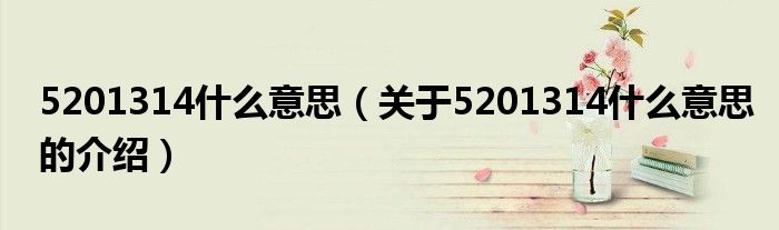 5201314什么意思（关于5201314什么意思的介绍）