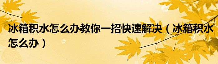 冰箱积水怎么办教你一招快速解决（冰箱积水怎么办）