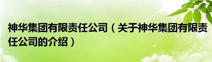 神华集团有限责任公司（关于神华集团有限责任公司的介绍）