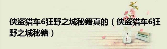 侠盗猎车6狂野之城秘籍真的（侠盗猎车6狂野之城秘籍）