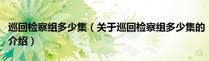 巡回检察组多少集（关于巡回检察组多少集的介绍）