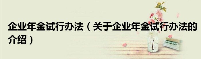 企业年金试行办法（关于企业年金试行办法的介绍）