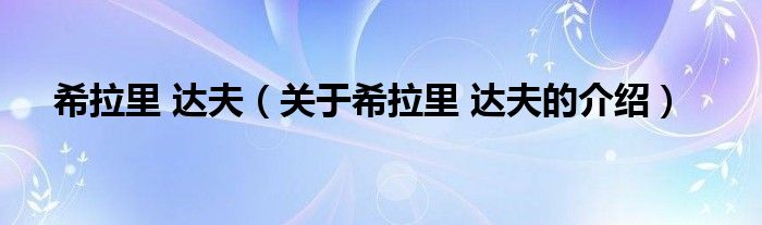 希拉里 达夫（关于希拉里 达夫的介绍）