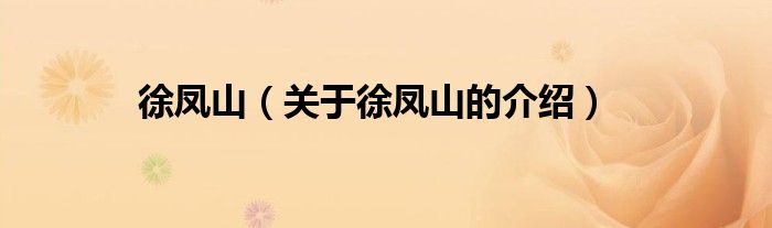 徐凤山（关于徐凤山的介绍）