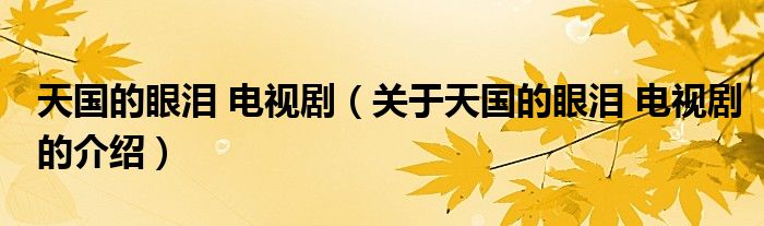天国的眼泪 电视剧（关于天国的眼泪 电视剧的介绍）