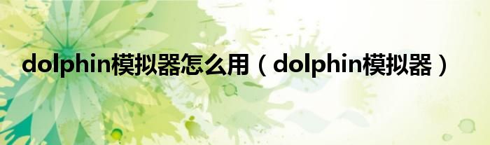 dolphin模拟器怎么用（dolphin模拟器）