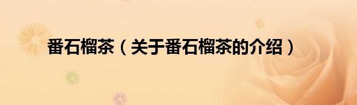 番石榴茶（关于番石榴茶的介绍）