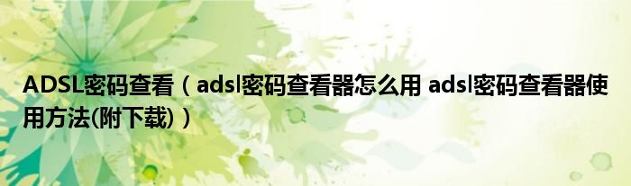 ADSL密码查看（adsl密码查看器怎么用 adsl密码查看器使用方法(附下载)）