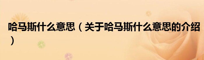 哈马斯什么意思（关于哈马斯什么意思的介绍）