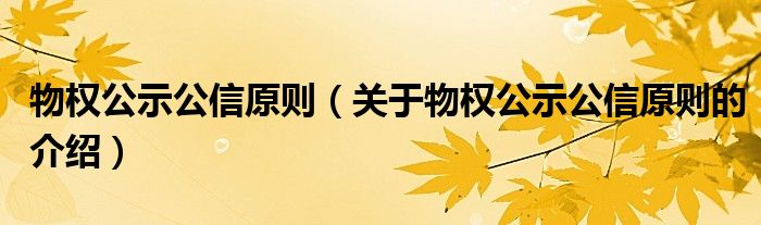 物权公示公信原则（关于物权公示公信原则的介绍）