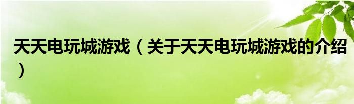 天天电玩城游戏（关于天天电玩城游戏的介绍）