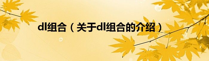 dl组合（关于dl组合的介绍）