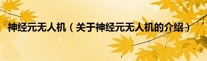 神经元无人机（关于神经元无人机的介绍）