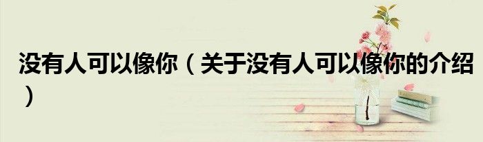 没有人可以像你（关于没有人可以像你的介绍）