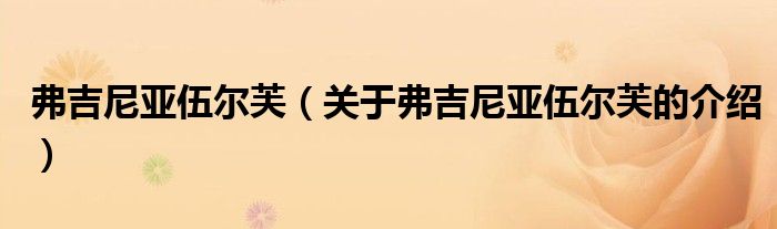 弗吉尼亚伍尔芙（关于弗吉尼亚伍尔芙的介绍）