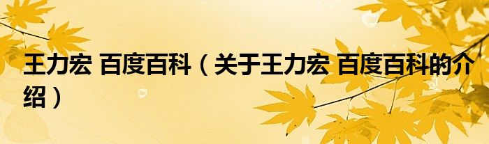 王力宏 百度百科（关于王力宏 百度百科的介绍）