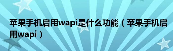 苹果手机启用wapi是什么功能（苹果手机启用wapi）