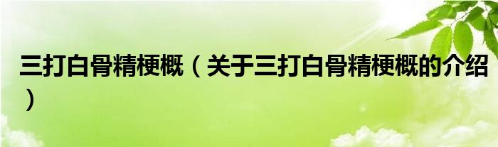 三打白骨精梗概（关于三打白骨精梗概的介绍）