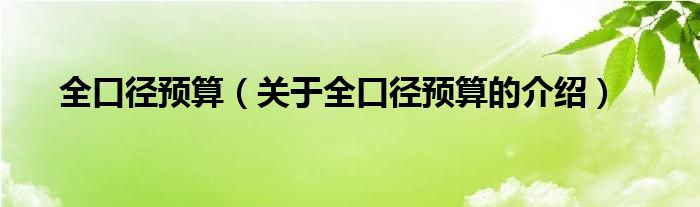 全口径预算（关于全口径预算的介绍）
