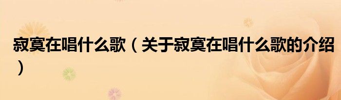 寂寞在唱什么歌（关于寂寞在唱什么歌的介绍）