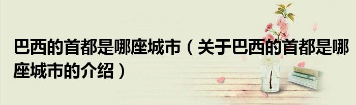 巴西的首都是哪座城市（关于巴西的首都是哪座城市的介绍）