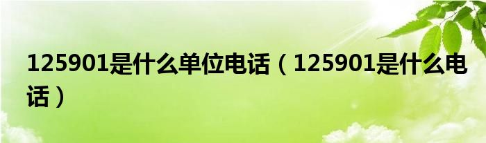 125901是什么单位电话（125901是什么电话）