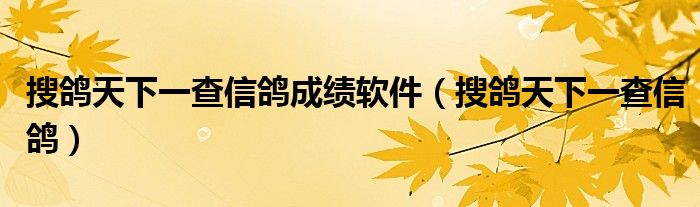 搜鸽天下一查信鸽成绩软件（搜鸽天下一查信鸽）