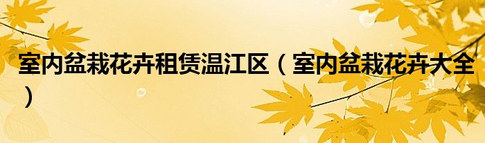 室内盆栽花卉租赁温江区（室内盆栽花卉大全）