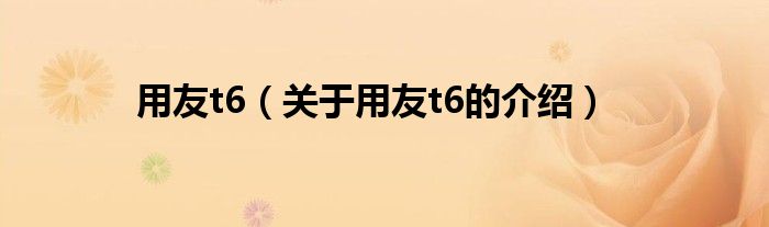 用友t6（关于用友t6的介绍）
