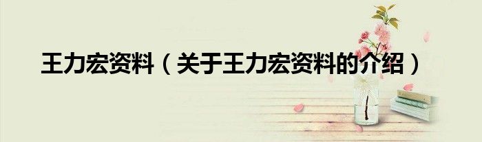 王力宏资料（关于王力宏资料的介绍）