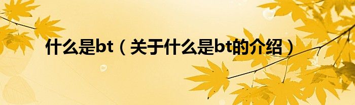 什么是bt（关于什么是bt的介绍）