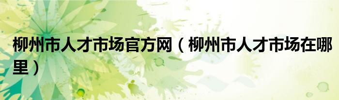 柳州市人才市场官方网（柳州市人才市场在哪里）