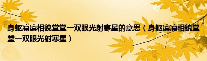 身躯凛凛相貌堂堂一双眼光射寒星的意思（身躯凛凛相貌堂堂一双眼光射寒星）