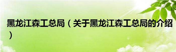 黑龙江森工总局（关于黑龙江森工总局的介绍）