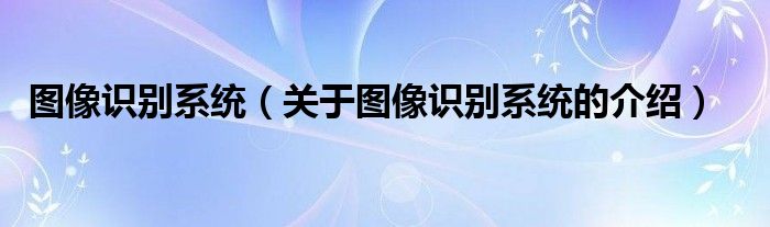 图像识别系统（关于图像识别系统的介绍）